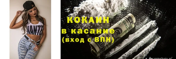 крисы Лагань