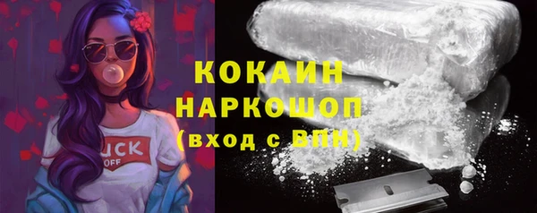 крисы Лагань