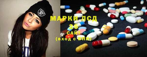PSILOCYBIN Ладушкин