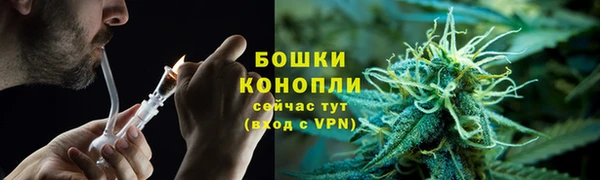 крисы Лабытнанги