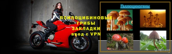 крисы Лагань
