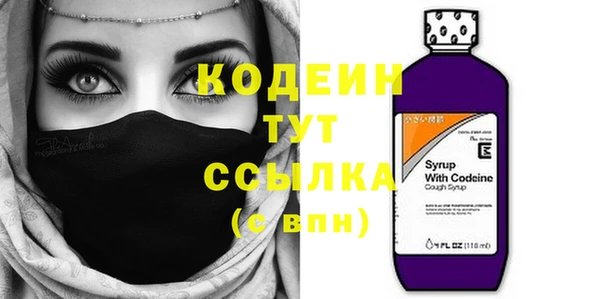 крисы Лагань