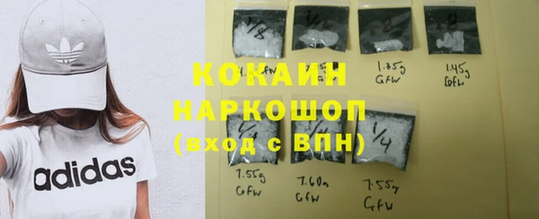 твердый Мурманск