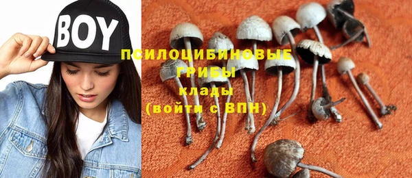 крисы Лагань