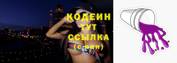 крисы Лагань