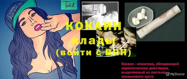 крисы Лагань