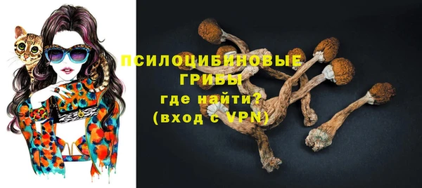 крисы Лагань