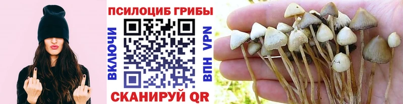 это Telegram магазин Вологда Галлюциногенные грибы мухоморы